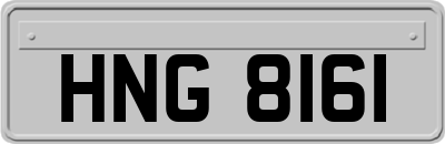 HNG8161