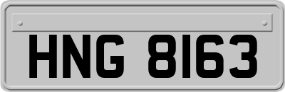HNG8163