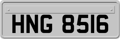HNG8516