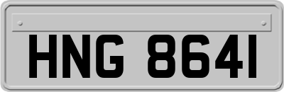HNG8641