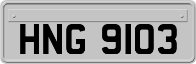 HNG9103