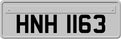 HNH1163