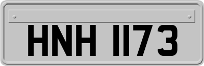 HNH1173