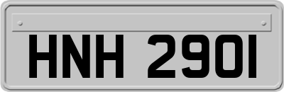 HNH2901