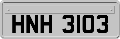 HNH3103