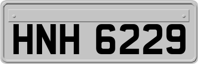 HNH6229