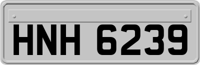 HNH6239