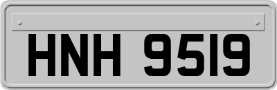 HNH9519