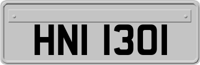 HNI1301