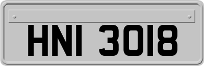 HNI3018
