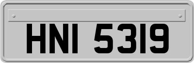 HNI5319