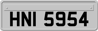HNI5954