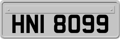 HNI8099