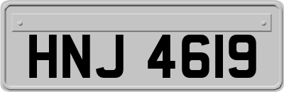 HNJ4619