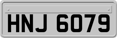 HNJ6079