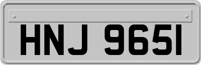 HNJ9651
