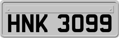 HNK3099