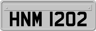 HNM1202