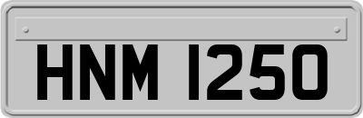 HNM1250