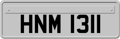 HNM1311