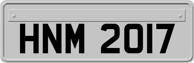 HNM2017