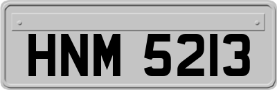 HNM5213