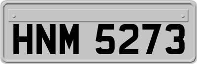 HNM5273
