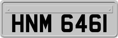 HNM6461