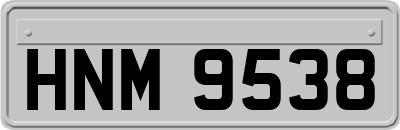 HNM9538