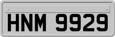 HNM9929