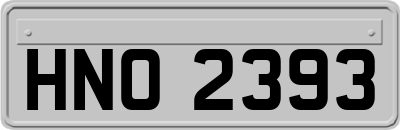 HNO2393