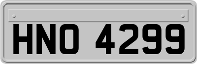 HNO4299