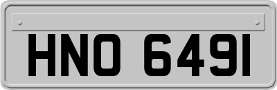 HNO6491