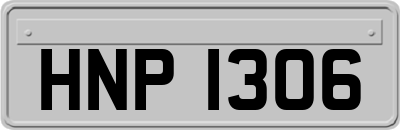 HNP1306
