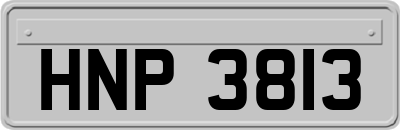 HNP3813