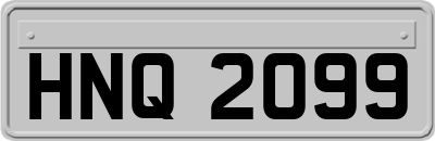 HNQ2099