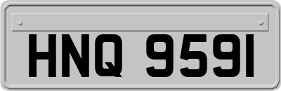 HNQ9591