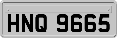 HNQ9665