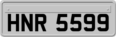 HNR5599