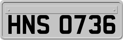 HNS0736