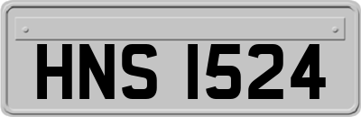 HNS1524