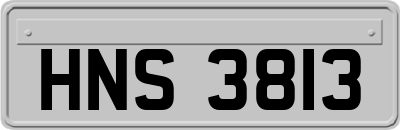 HNS3813