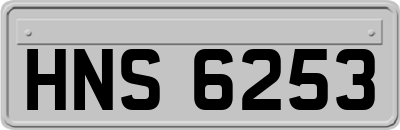 HNS6253