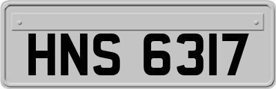 HNS6317