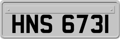 HNS6731