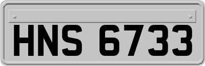 HNS6733