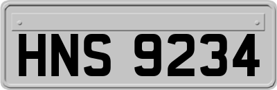 HNS9234
