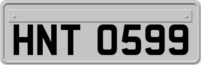 HNT0599