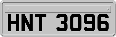 HNT3096
