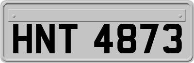 HNT4873